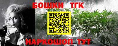 твердый Бердск